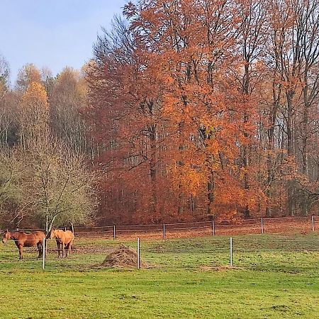 Zacisze Pod Bukami Appartement Gornica Buitenkant foto