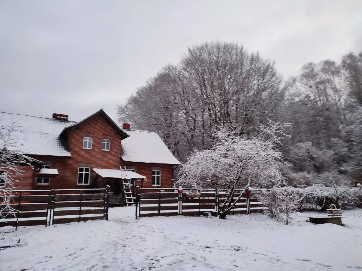 Zacisze Pod Bukami Appartement Gornica Buitenkant foto