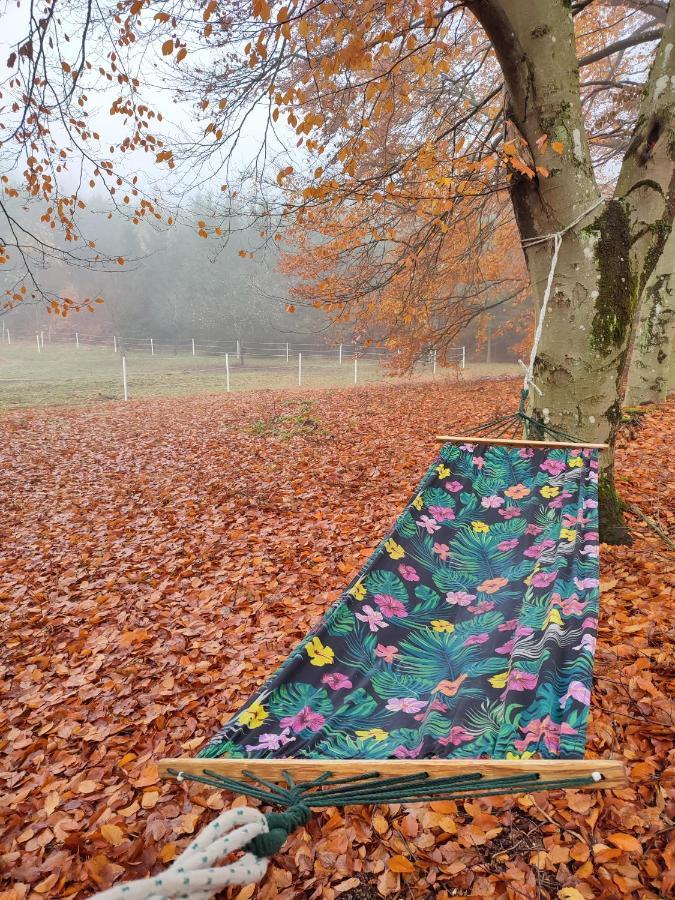 Zacisze Pod Bukami Appartement Gornica Buitenkant foto