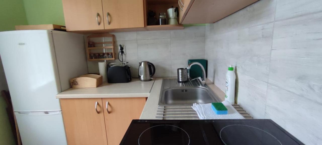 Zacisze Pod Bukami Appartement Gornica Buitenkant foto