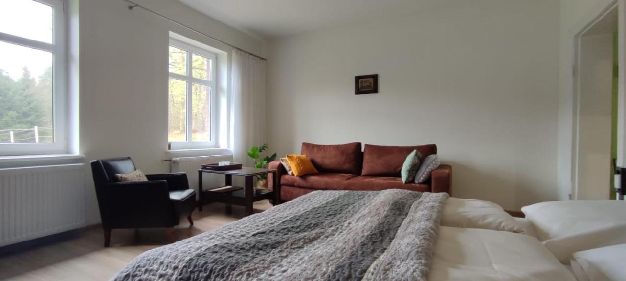 Zacisze Pod Bukami Appartement Gornica Buitenkant foto